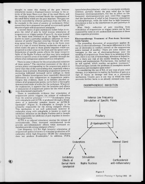 Spring 1982 - Athletic Training History