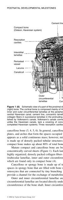 A Practical Approach, Second Edition=Ronald D. Ho.pdf