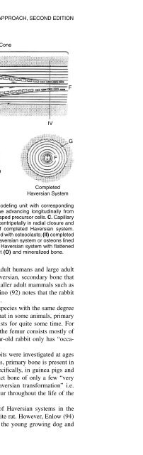 A Practical Approach, Second Edition=Ronald D. Ho.pdf