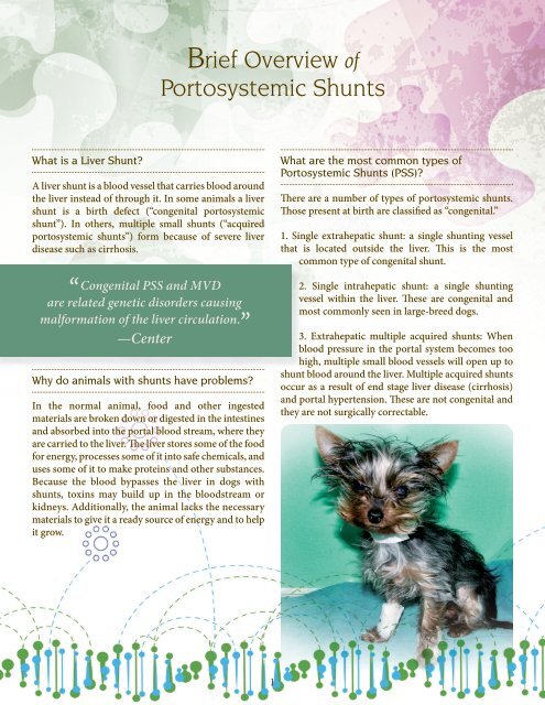 Portosystemic Shunts - The University of Tennessee College of ...