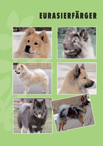 Färgnyckel för eurasier