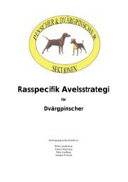 Rasspecifik Avelsstrategi för DVÄRGPINSCHER