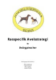 Rasspecifik Avelsstrategi för DVÄRGPINSCHER