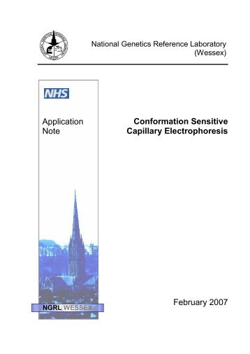 Conformation Sensitive Capillary Electrophoresis February 2007 ...