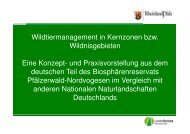 Wildtiermanagement in Kernzonen bzw. Wildnisgebieten. Eine ...
