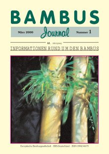 japanische bananenpflanze MUSA BASJOO JAPANISCHER BANANENBAUM (1 PFLANZE) – Peragashop main image 0