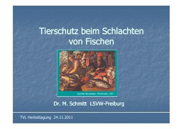 Tierschutz, Betäubung, Schlachtung von Fischen