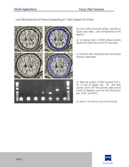 PALM Applications Focus: Plant Sciences