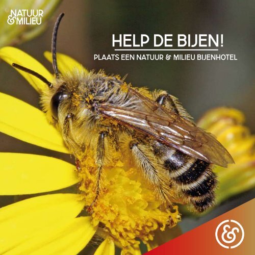 help de bijen! - Natuur & Milieu