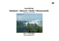 Waldzeit – Mensch • Wald • Wissenschaft - NGW