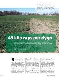 45 kilo raps per dygn - Svensk Raps