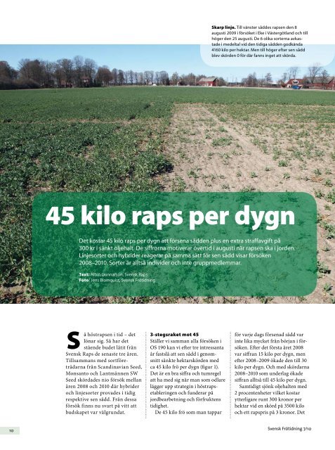 45 kilo raps per dygn - Svensk Raps