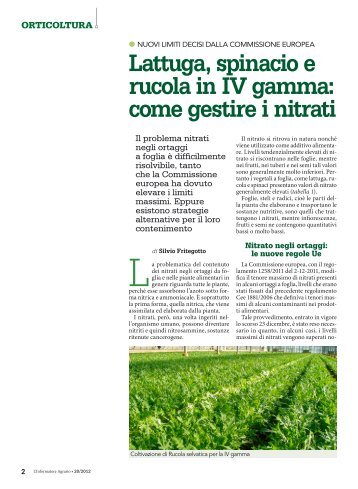 Lattuga, spinacio, rucola IV gamma 1306K - Provincia di Bergamo