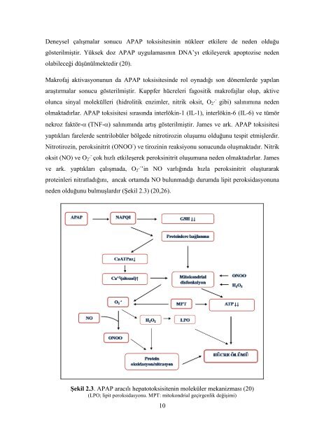 BAġKENT ÜNĠVERSĠTESĠ TIP FAKÜLTESĠ Biyokimya Anabilim ...