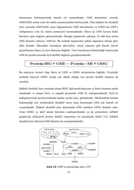 BAġKENT ÜNĠVERSĠTESĠ TIP FAKÜLTESĠ Biyokimya Anabilim ...