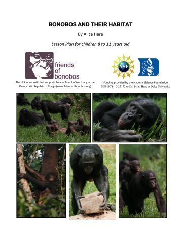 BONOBOS AND THEIR HABITAT - Friends of Bonobos