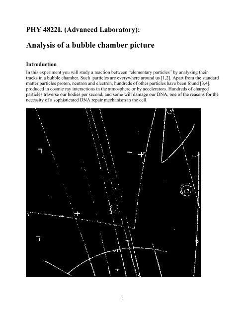 Analysis of a bubble chamber picture