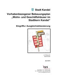 Wohn- und Geschäftshäuser im Stadtkern Kandel