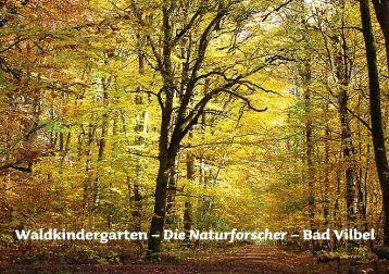 Waldkindergarten – Die Naturforscher – Bad Vilbel