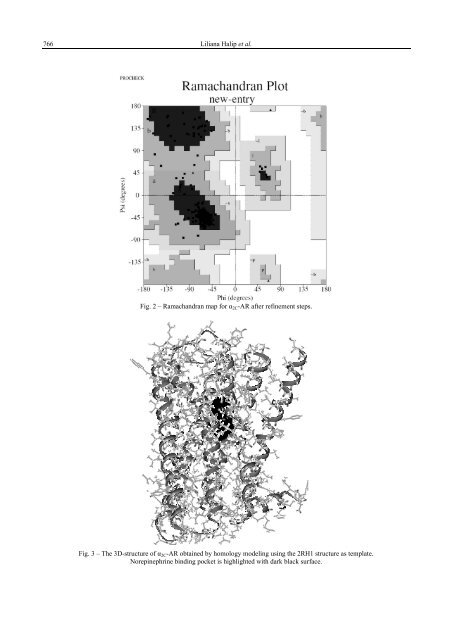 3D HOMOLOGY MODEL OF THE α2C-ADRENERGIC RECEPTOR ...