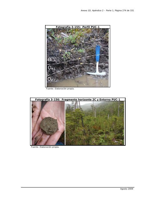 anexo 1d, apÃ©ndice 2 antecedentes complementarios edafologÃ­a ...