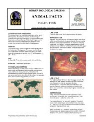 ANIMAL FACTS - Denver Zoo