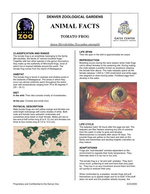 ANIMAL FACTS - Denver Zoo