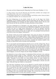 Leiden für Jesus - Norbert Südland