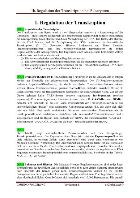 1b. Genetische Regulation.word.pdf