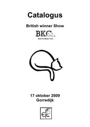 the british winner show 2009 - Mundikat
