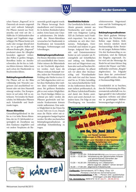 WS-Journal-Juli 2013 - Weissensee
