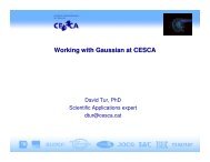 Working with Gaussian at CESCA