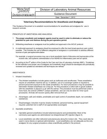 Veterinary Recommendations for Anesthesia and Analgesia