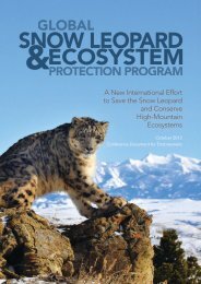 2013 Global Snow Leopard and Ecosystem Recovery Program