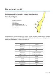 Bagenkop Sommerland - Langeland Kommune