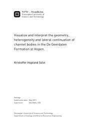 Visualize and interpret the geometry, heterogeneity and lateral ...
