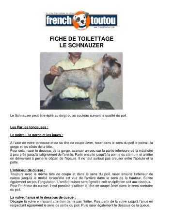 FICHE DE TOILETTAGE LE SCHNAUZER - Frenchtoutou