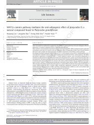 WNT/β-catenin pathway mediates the anti-adipogenic effect of ...