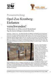 Pressemitteilung vom 07.08.2013 - Opel-Zoo