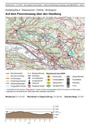 Auf dem Panoramaweg über den Hasliberg - barbarascherler.ch