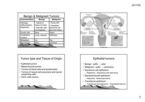 เนืองอก (Neoplasm)