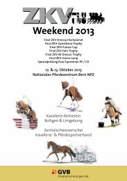 Zeitplan ZKV - Weekend 2013