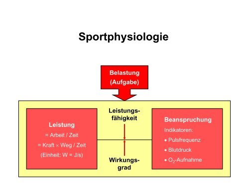 Leistungsphysiologie I, II, III (H. Pagel) - Institut für Physiologie