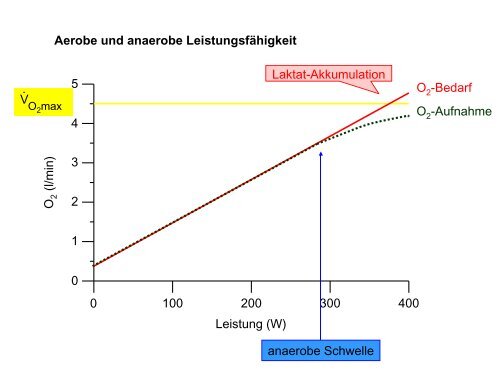 Leistungsphysiologie I, II, III (H. Pagel) - Institut für Physiologie