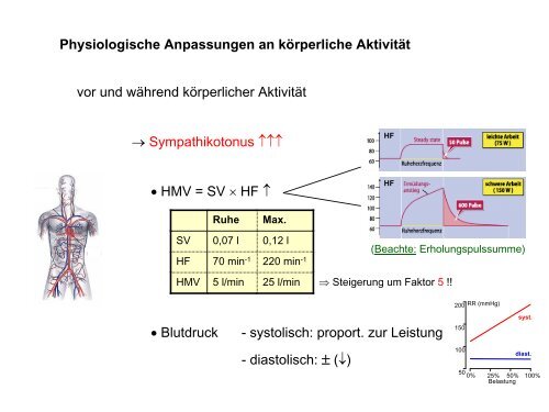 Leistungsphysiologie I, II, III (H. Pagel) - Institut für Physiologie