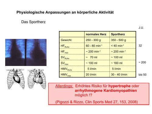 Leistungsphysiologie I, II, III (H. Pagel) - Institut für Physiologie