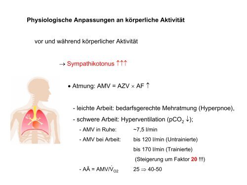 Leistungsphysiologie I, II, III (H. Pagel) - Institut für Physiologie