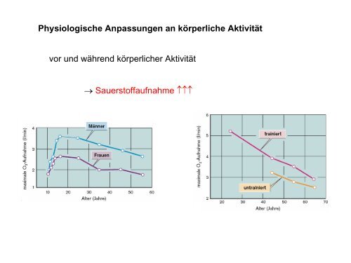 Leistungsphysiologie I, II, III (H. Pagel) - Institut für Physiologie