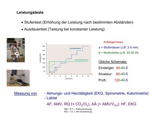 Leistungsphysiologie I, II, III (H. Pagel) - Institut für Physiologie