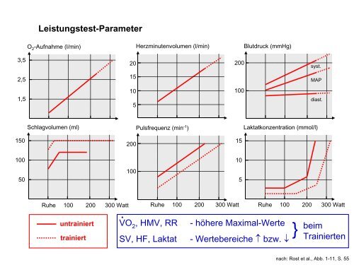 Leistungsphysiologie I, II, III (H. Pagel) - Institut für Physiologie